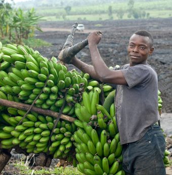 man with bananas