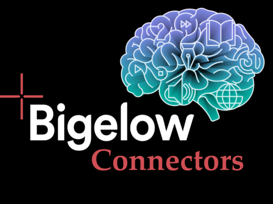 Bigelow Connectors Logo